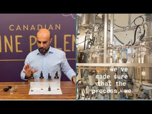 Five Revive Mushroom Complex (250mg/ml)  | 1:4 dual extract- Fruiting body