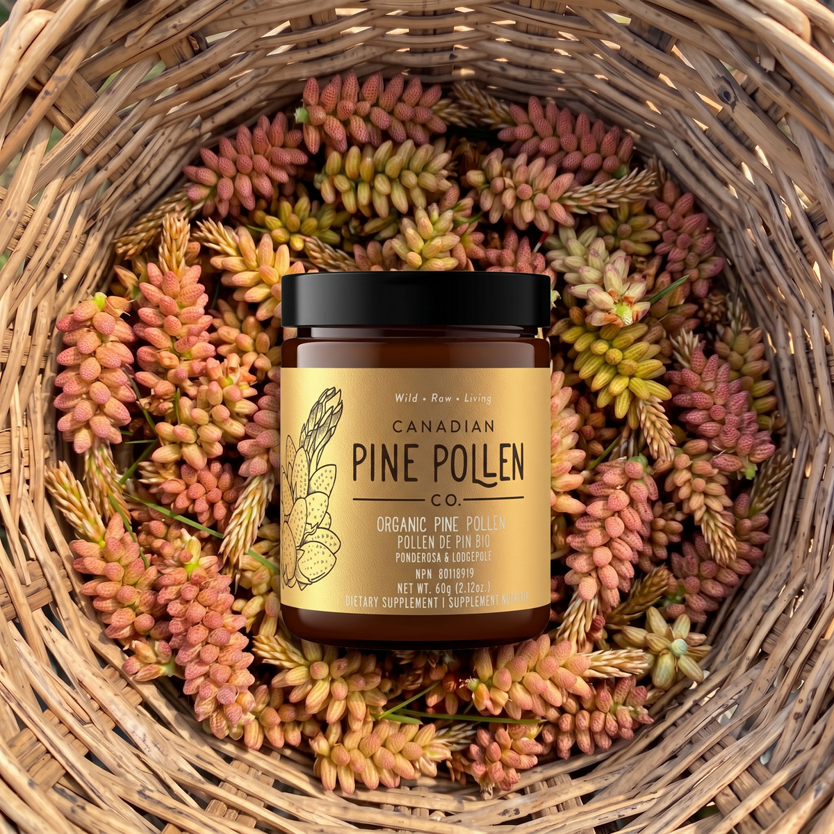 Certified Organic Pine Pollen Powder - Wildcrafted
