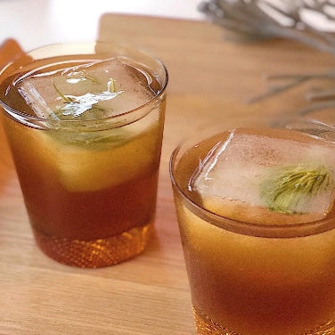 Pine Needle and Spruce Tip Tincture- Evergreen C- 1:6 (100ml/3.4 fl.oz)