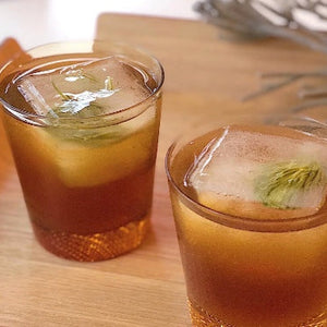 Pine Needle and Spruce Tip Tincture- Evergreen C- 1:6 (100ml/3.4 fl.oz)