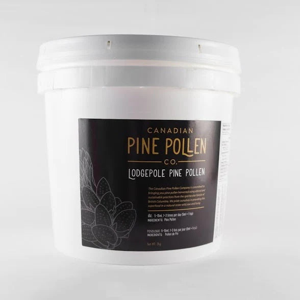 Pollen de pin sauvage - Mât tordu biologique certifié - 1 kg (2,2 lb)