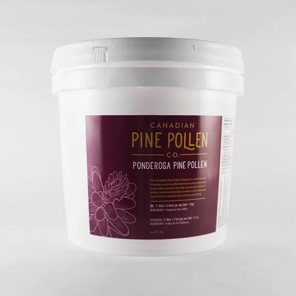 Pollen de pin ponderosa sauvage - Poudre certifiée biologique - 1 kg (2,2 lb) 