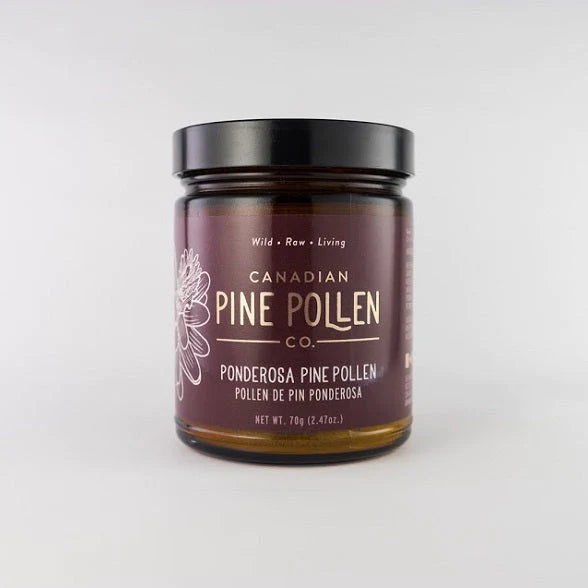 Poudre de pollen de pin ponderosa sauvage – Certifié biologique (70 g-2,9 oz)