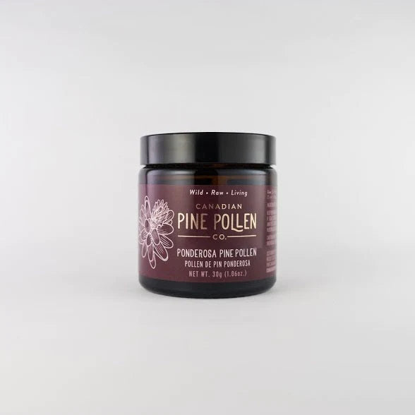 Wild Ponderosa Pine Pollen Organic Certified  - Powder