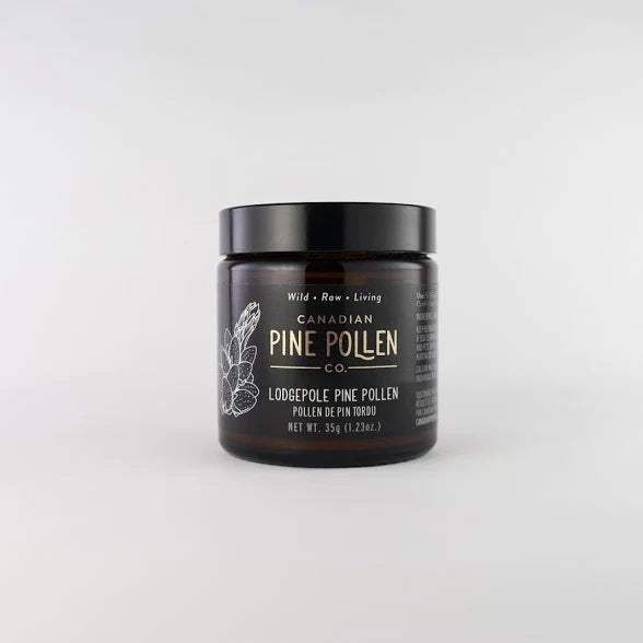 Wild Lodgepole Pine Pollen Powder -  Certified Organic